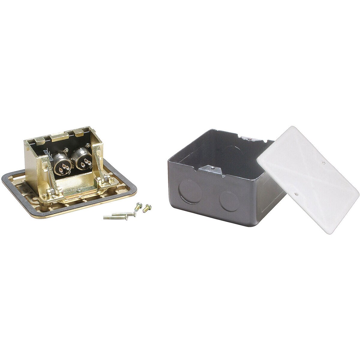 Parts Express Floor Box with Dual XLR & 1/4